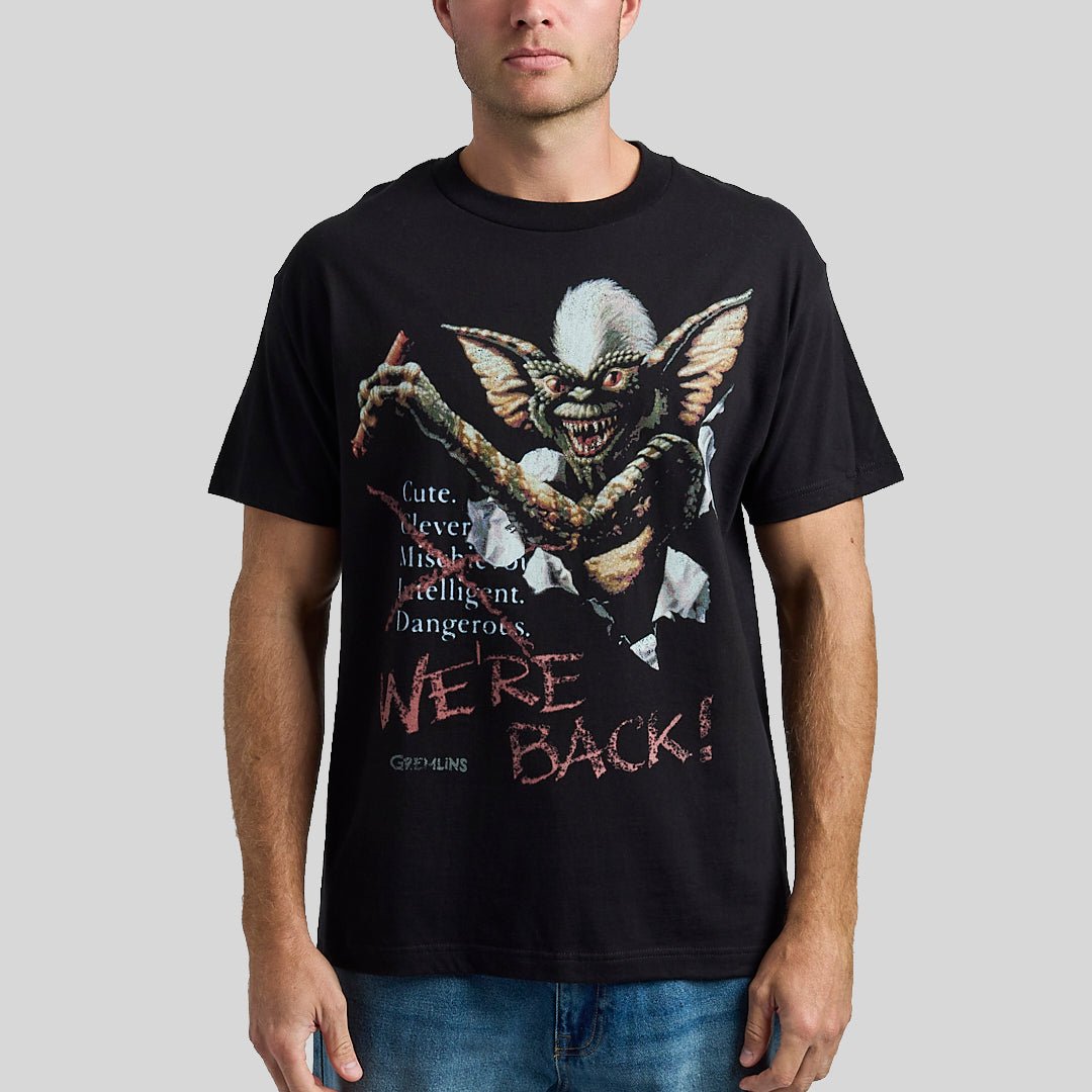Stripe Chaos Poster Heavyweight Boxy Tee