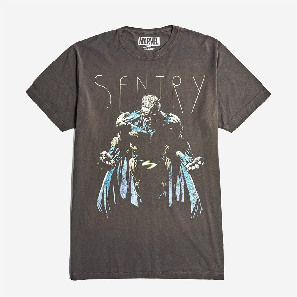 Sentry Flying Pose Vintage Soft Tee