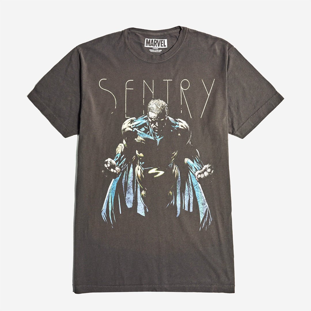Sentry Flying Pose Vintage Soft Tee