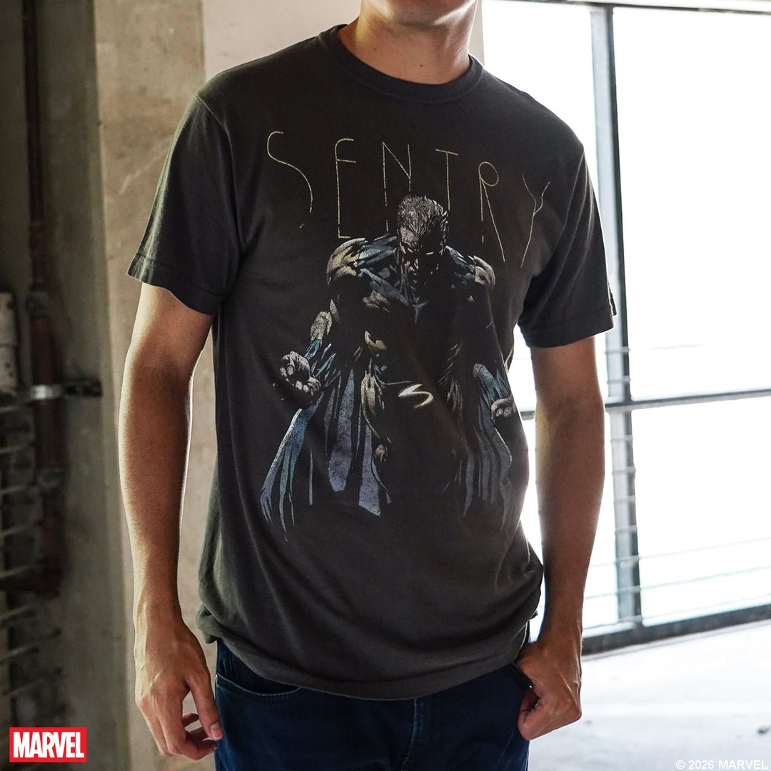 Sentry Flying Pose Vintage Soft Tee