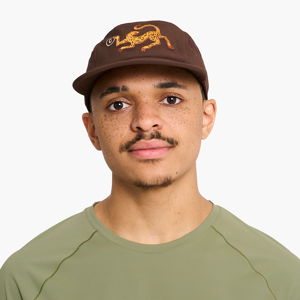 GOCap - Field - Cheetah