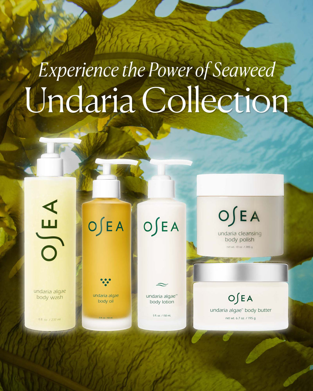 Undaria Algae™ Body Butter