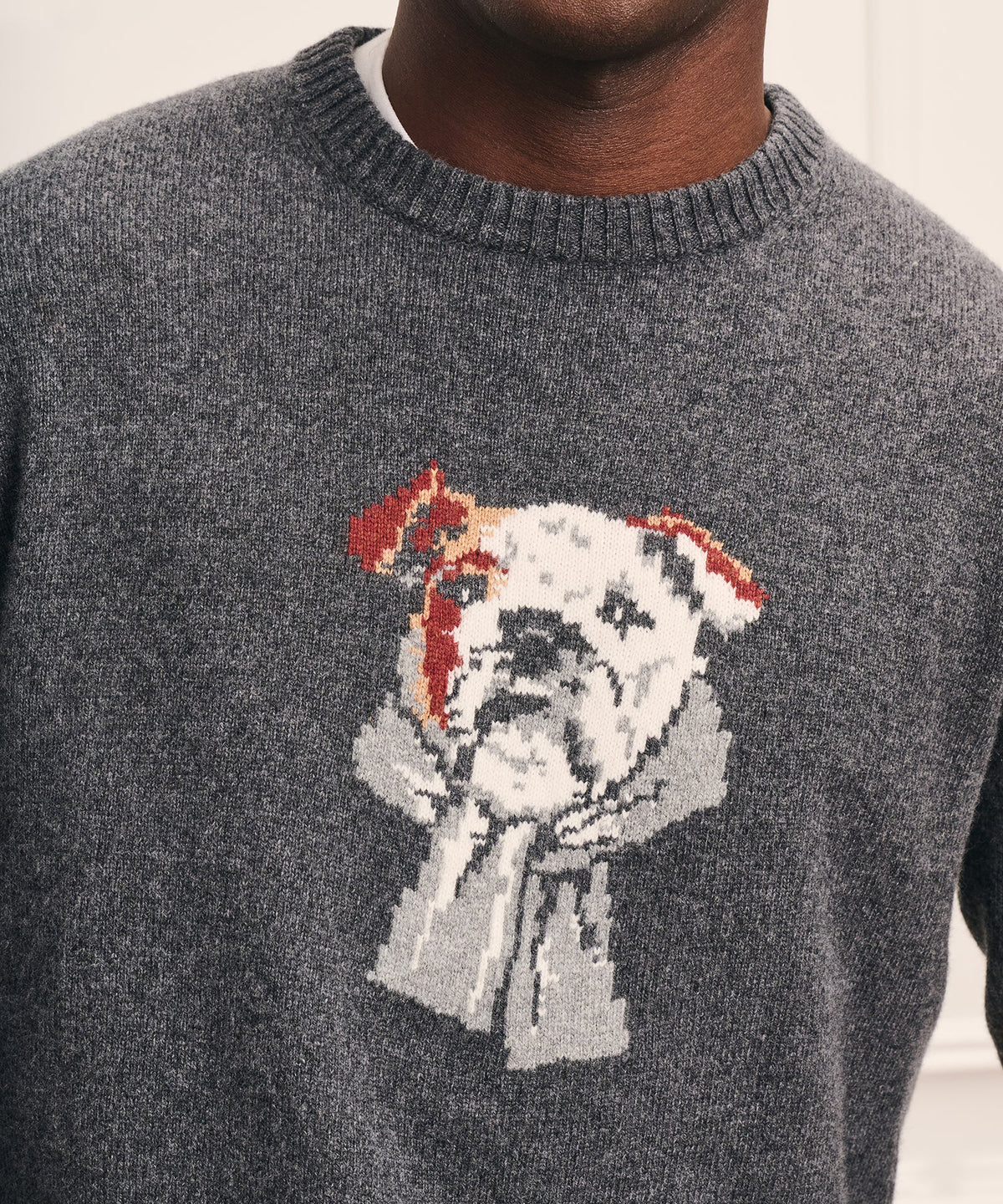 Wool Cotton Dog Jacquard Crewneck Sweater