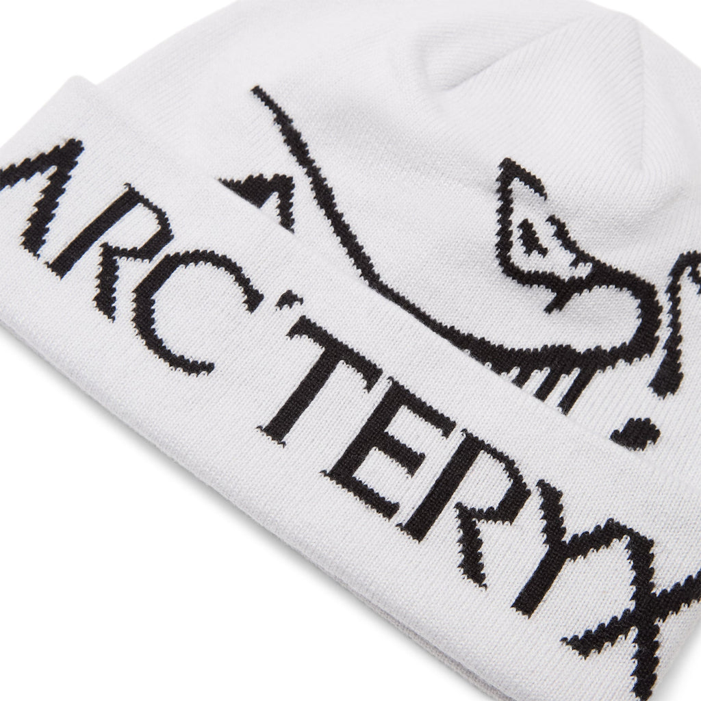 Arc'teryx Bird Word Toque (Orca)