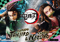 Demon Slayer Kimetsu no Yaiba: Kamado Tanjiro and Kamado Nezuko