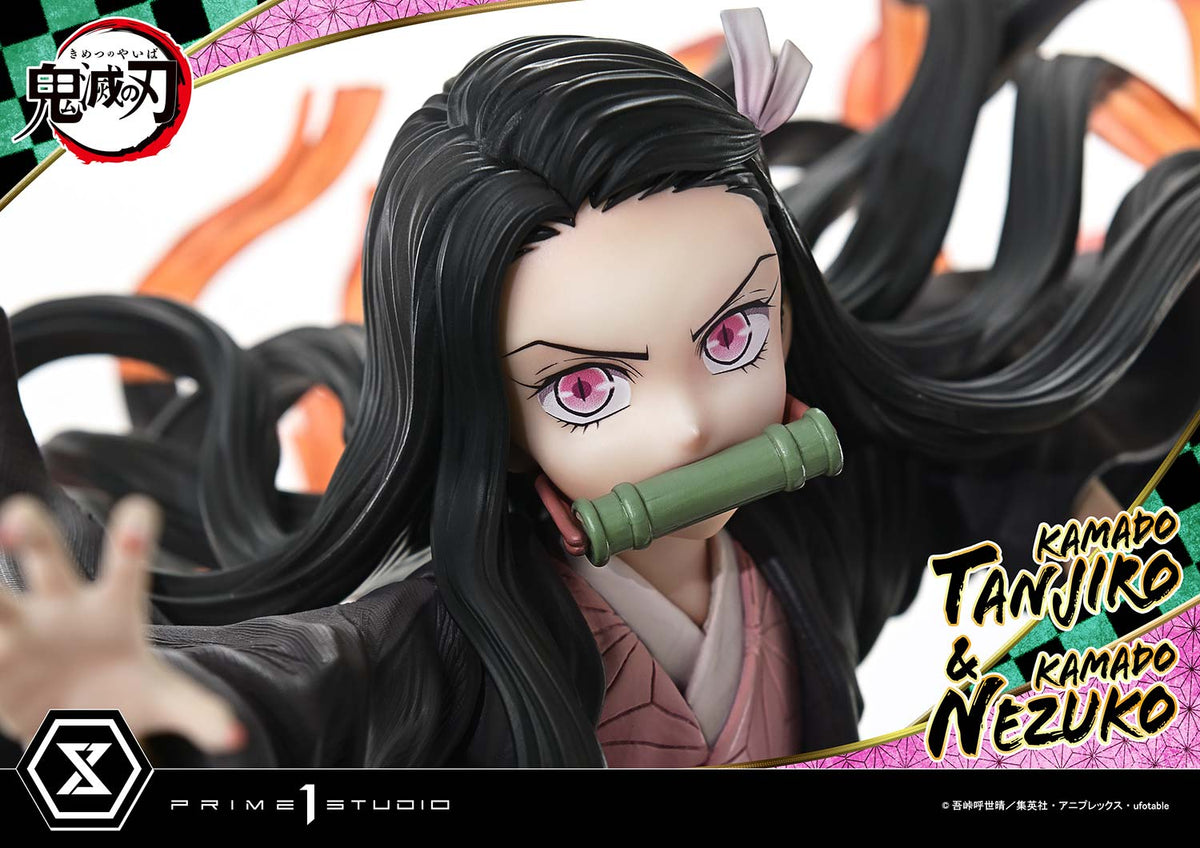 Demon Slayer Kimetsu no Yaiba: Kamado Tanjiro and Kamado Nezuko