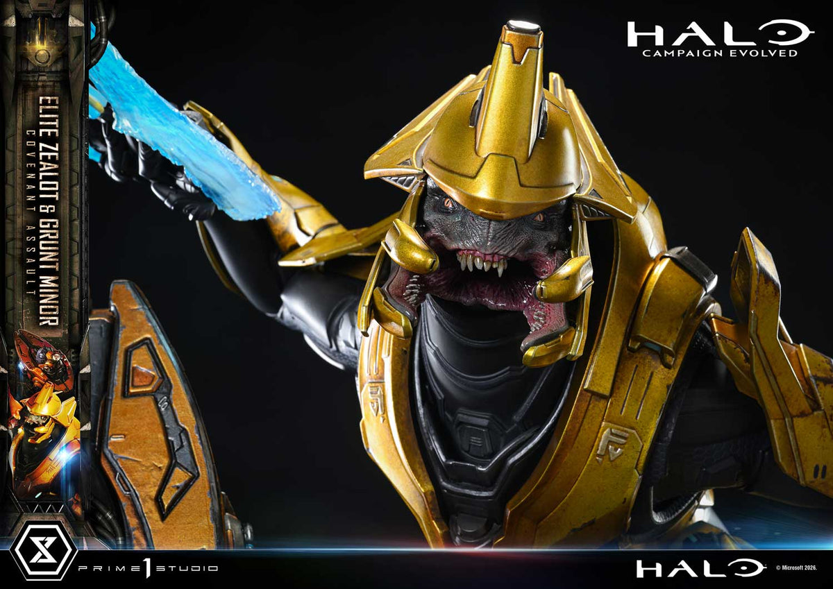HALO Campaign Evolved: Elite Zealot & Grunt Minor Covenant Assault