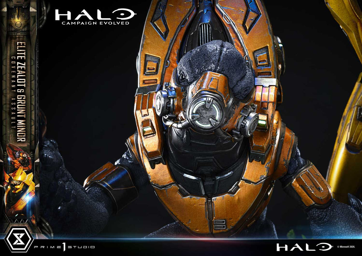 HALO Campaign Evolved: Elite Zealot & Grunt Minor Covenant Assault