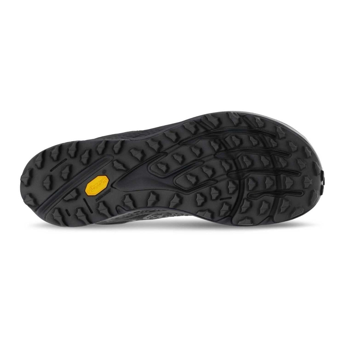 Altra Timp 6 GTX Running Shoe – Men's