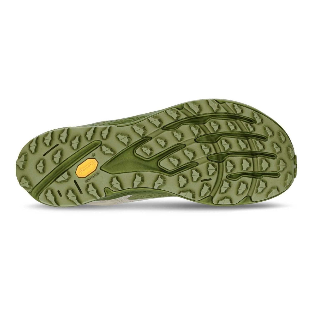 Altra Timp 6 GTX Running Shoe – Men's