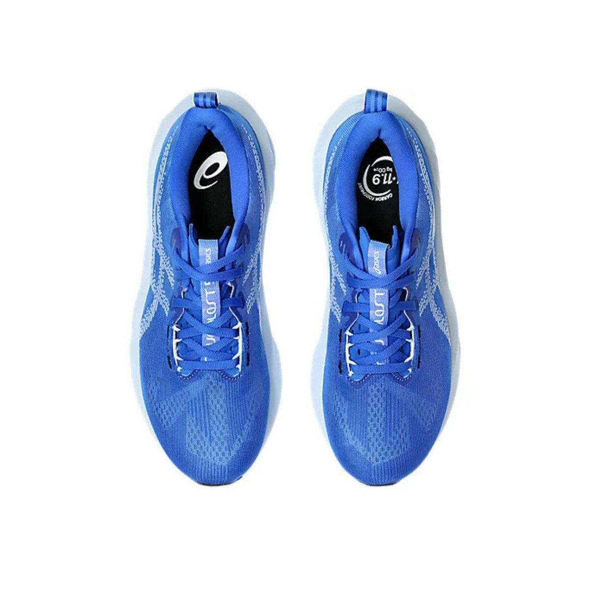 Asics Novablast 5 Running Shoe – Men's