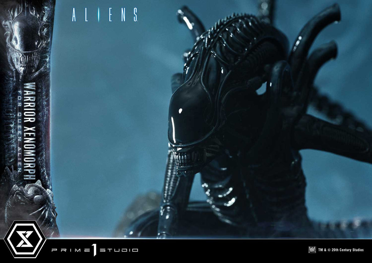 Aliens (1986): Warrior Xenomorph