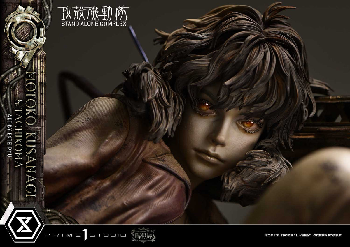 Ghost in the Shell Stand Alone Complex: Motoko Kusanagi & Tachikoma by Entei Ryu