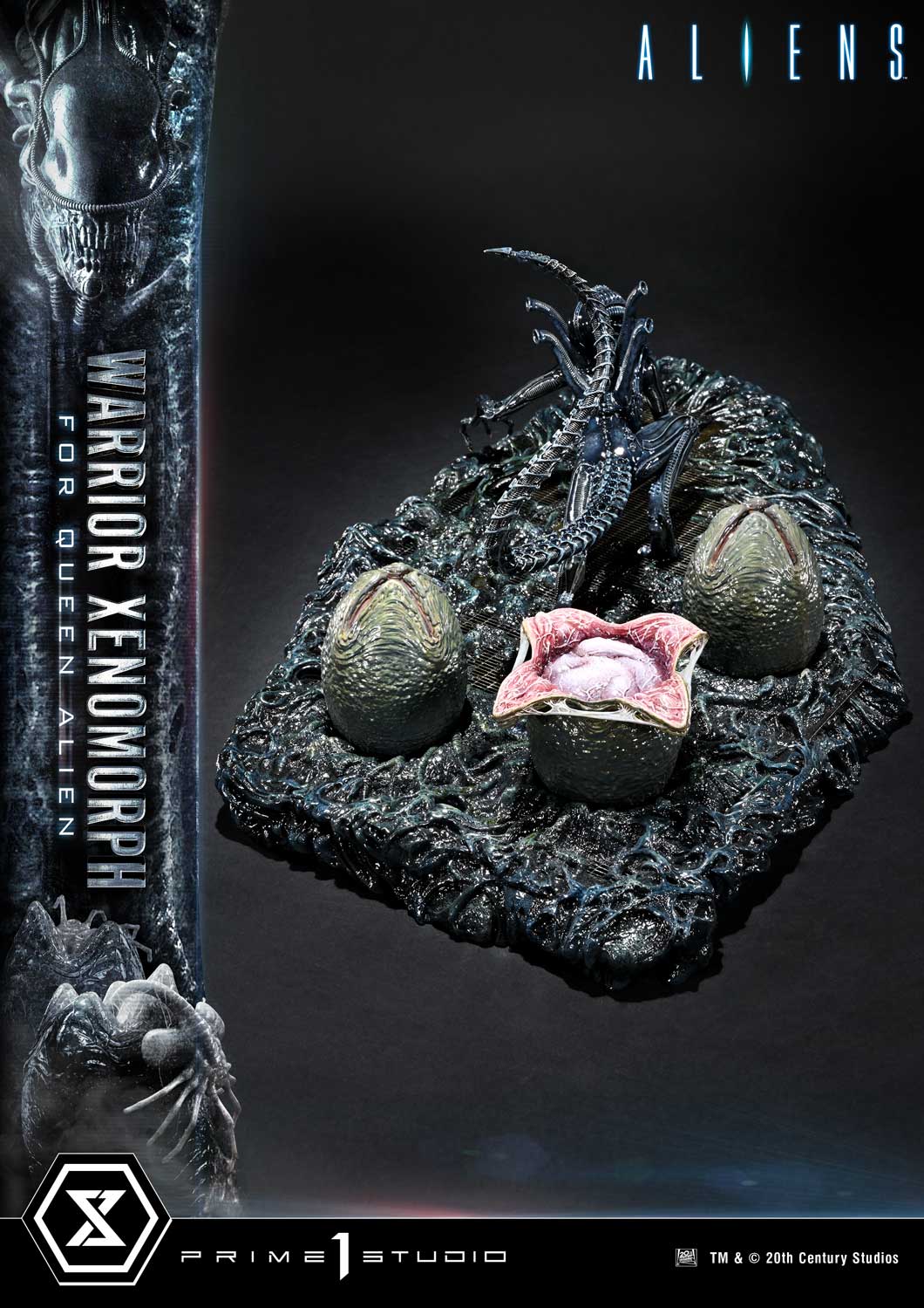 Aliens (1986): Warrior Xenomorph