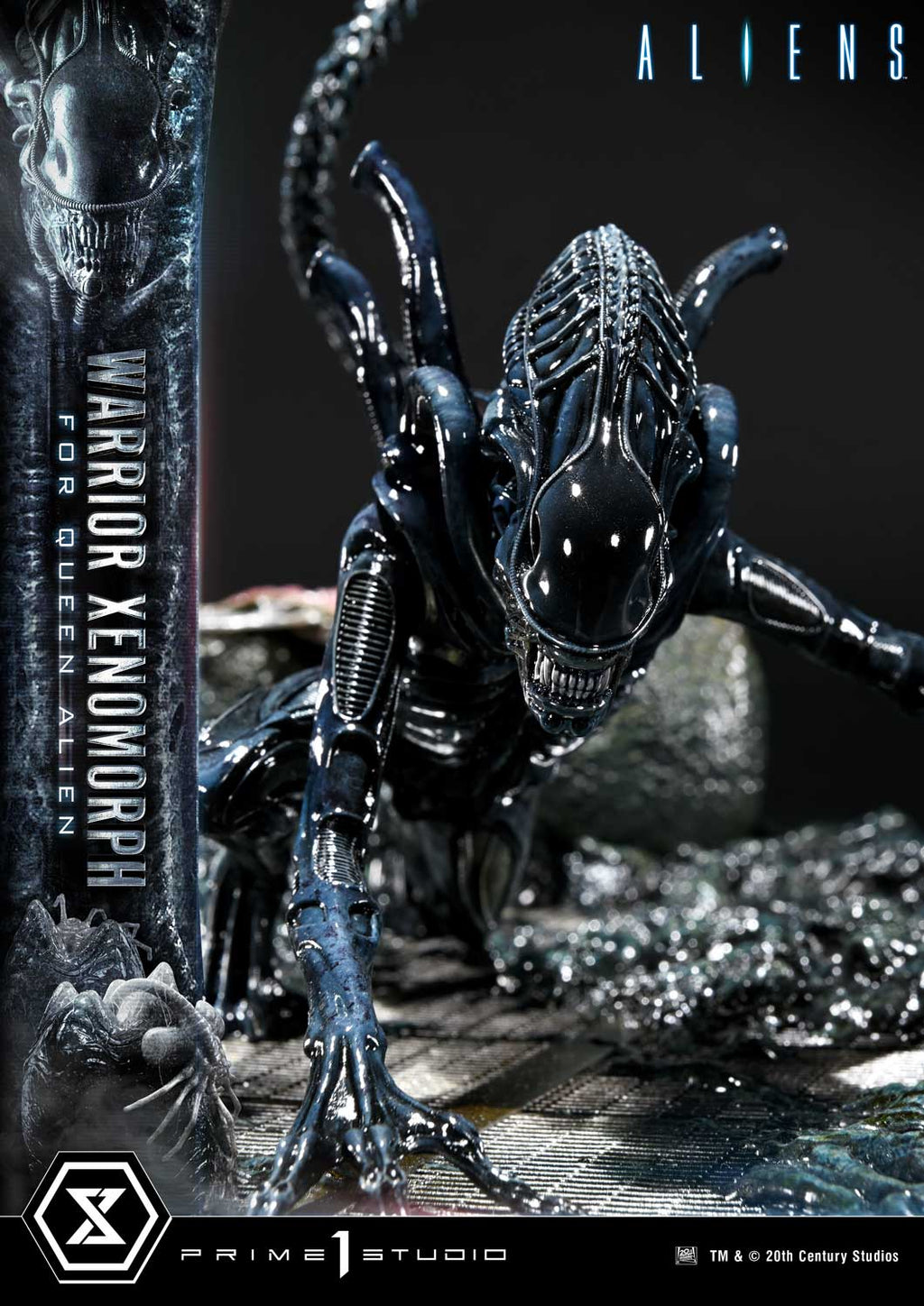 Aliens (1986): Warrior Xenomorph
