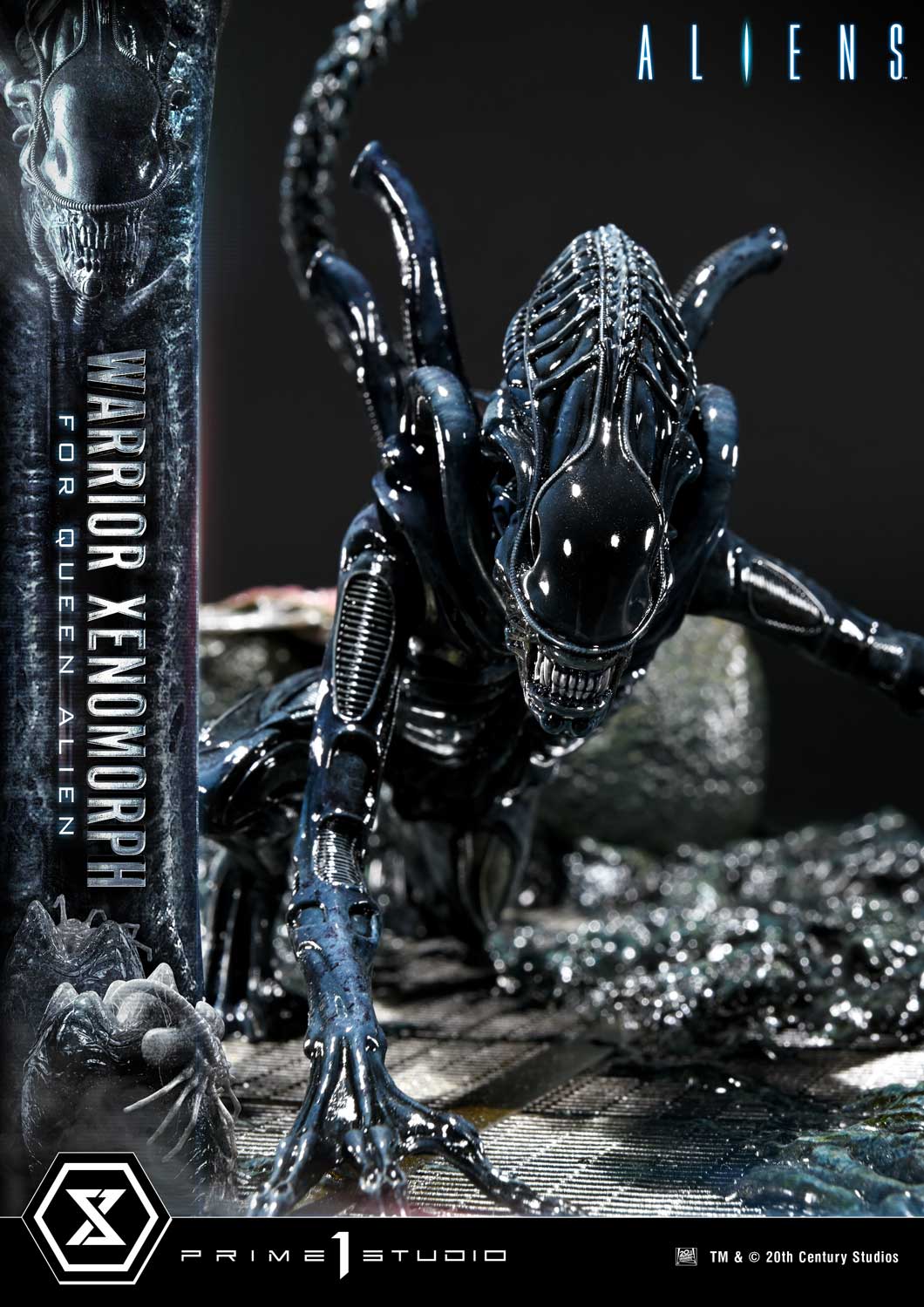 Aliens (1986): Warrior Xenomorph
