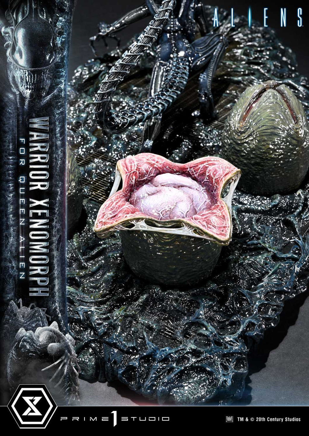 Aliens (1986): Warrior Xenomorph