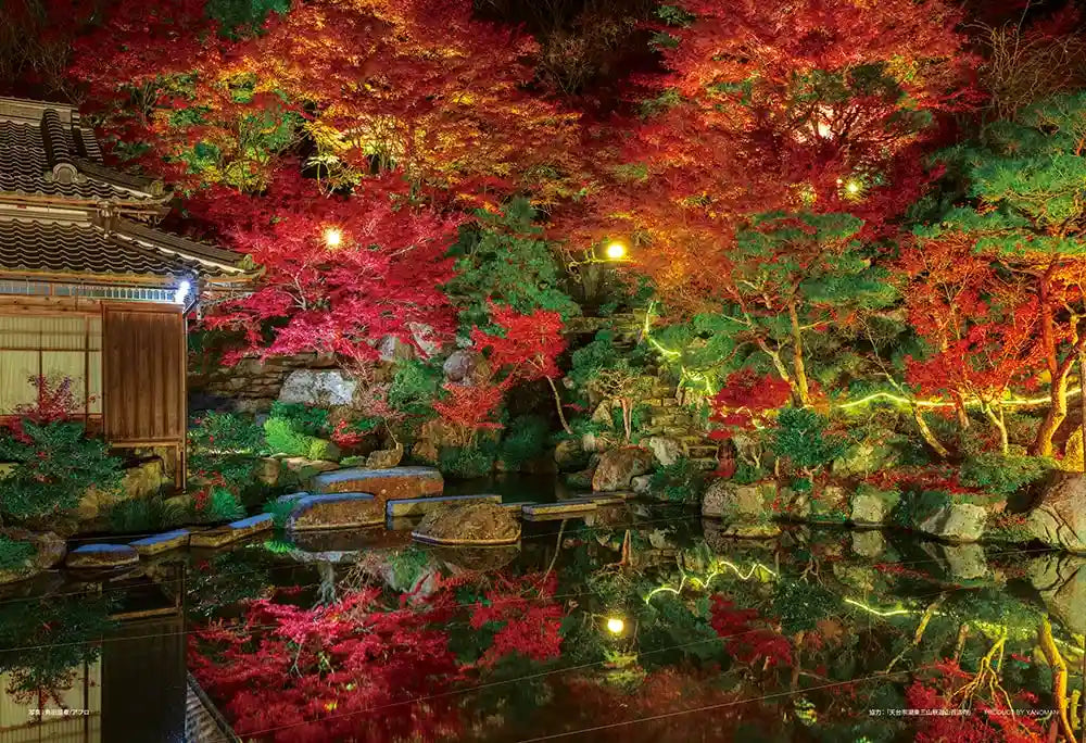 108 片拼图 秋夜 熊野古道（滋贺）大块拼图（26 x 38 厘米）