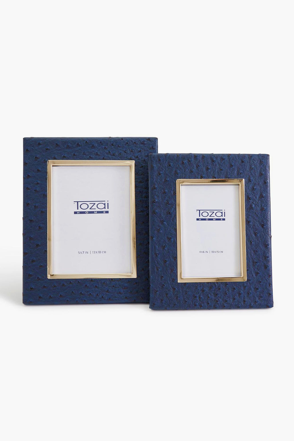 5x7 Navy Ostrich Photo Frame with Gold Edge