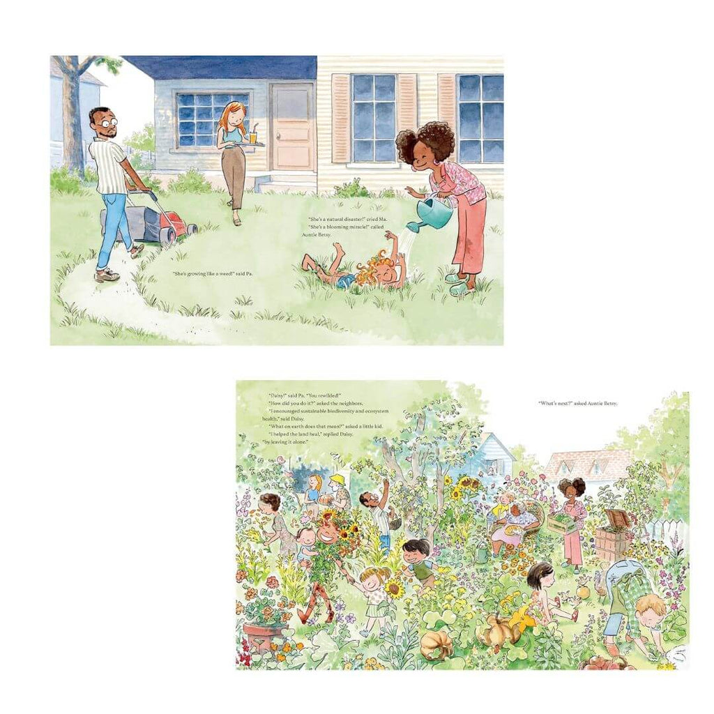 Daisy Rewilds