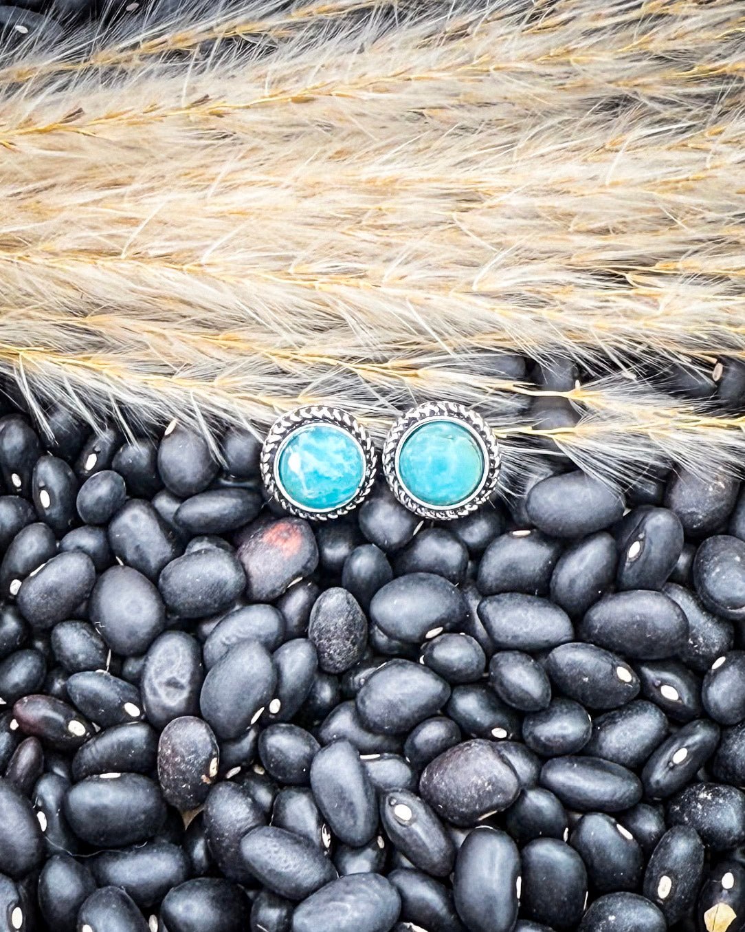 Desert Sky Fashion Stud Earrings