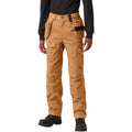 Dickies Flex Temp-iQ 365 Regular Fit Duck Pants – Men's