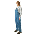 Dickies Heritage Bib Overall – Women's