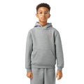 Dickies Oakport Hoodie – Kids'