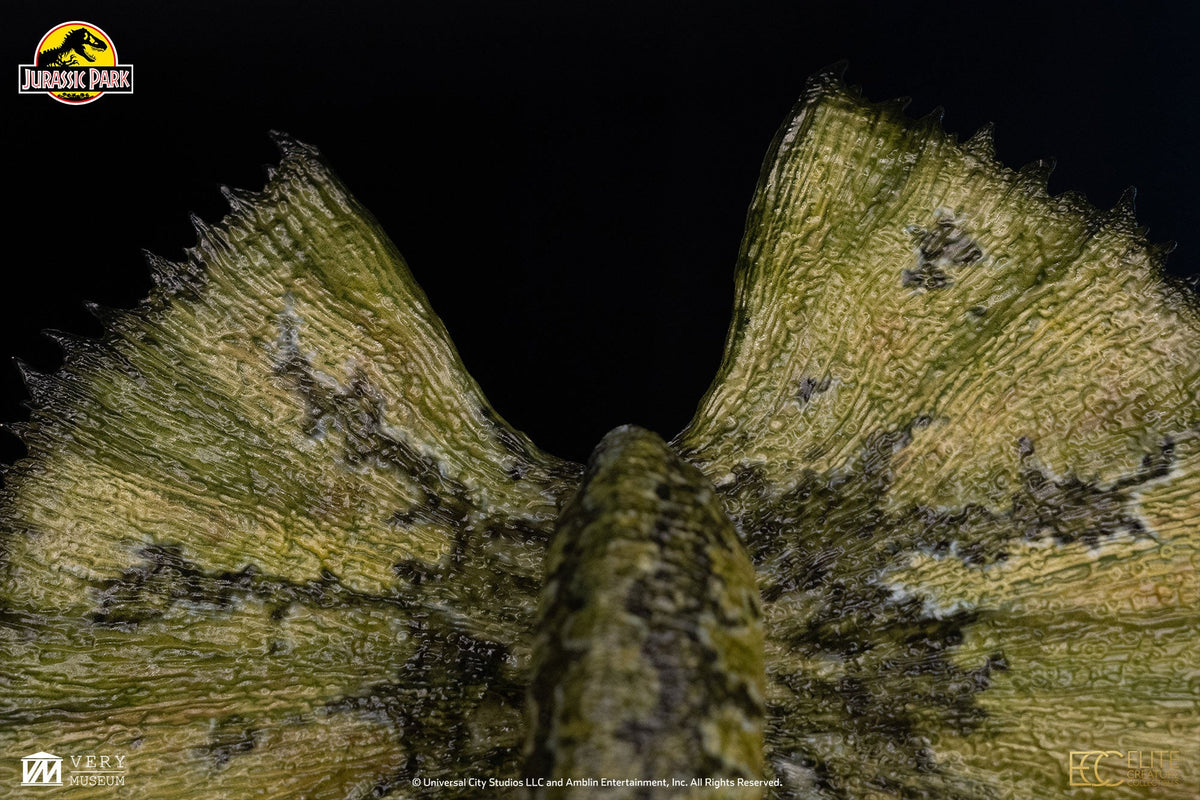 Jurassic Park (1993): Dilophosaurus 1/3 Scale Maquette