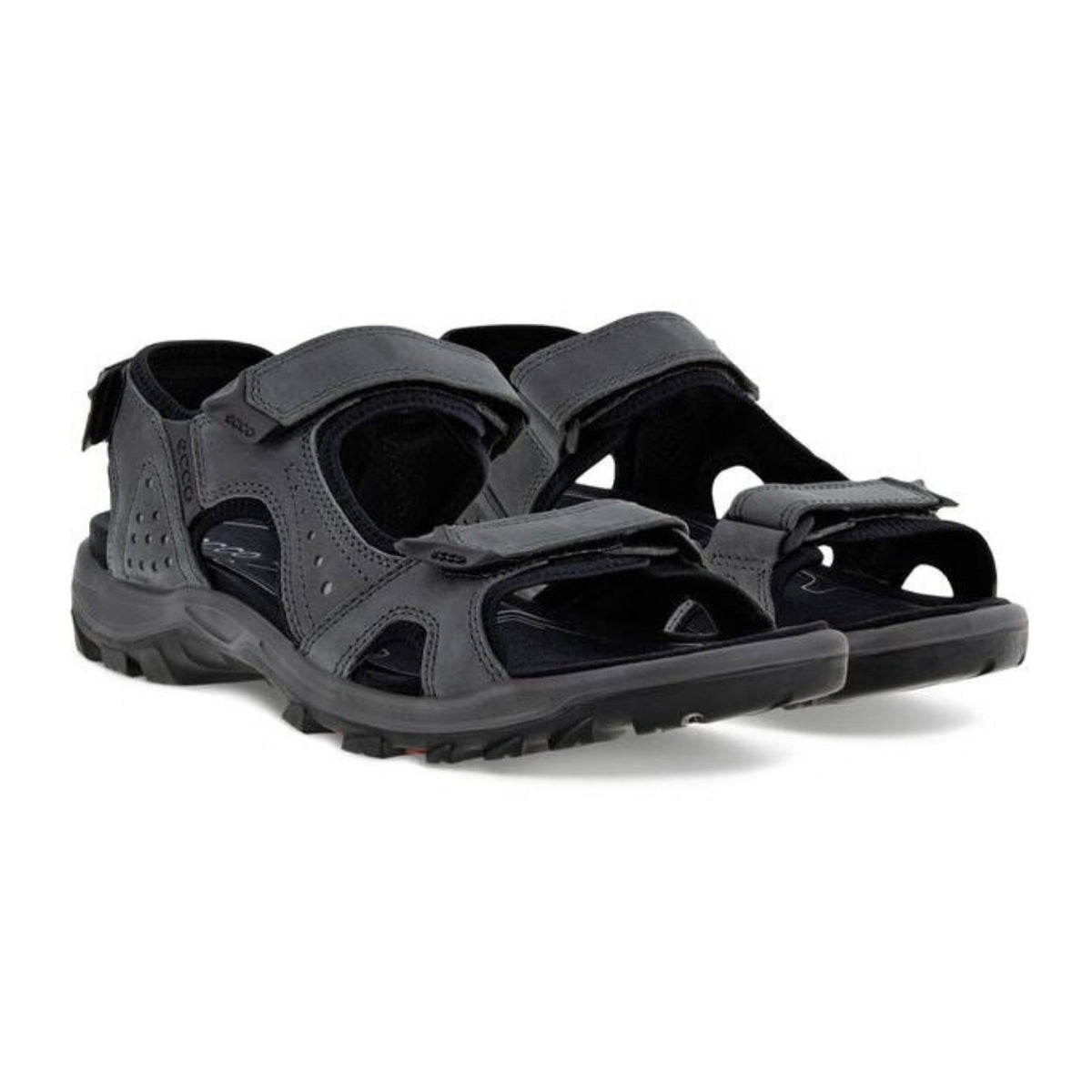 Ecco Offroad Lite Sandal – Men's