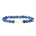 Fahlo The Quest Whale Shark Tracking Bracelet