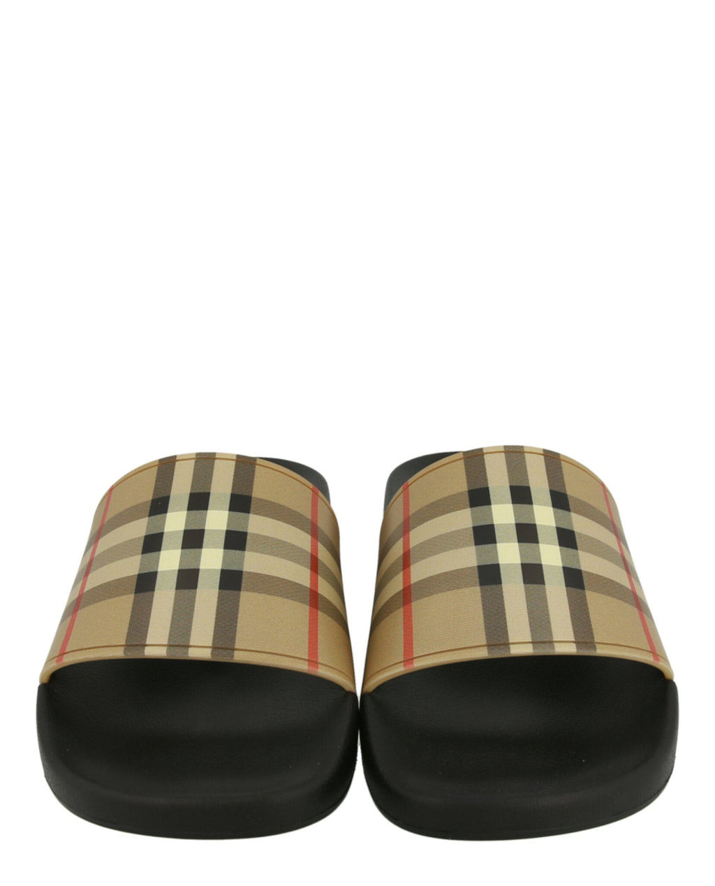Check Print Slides