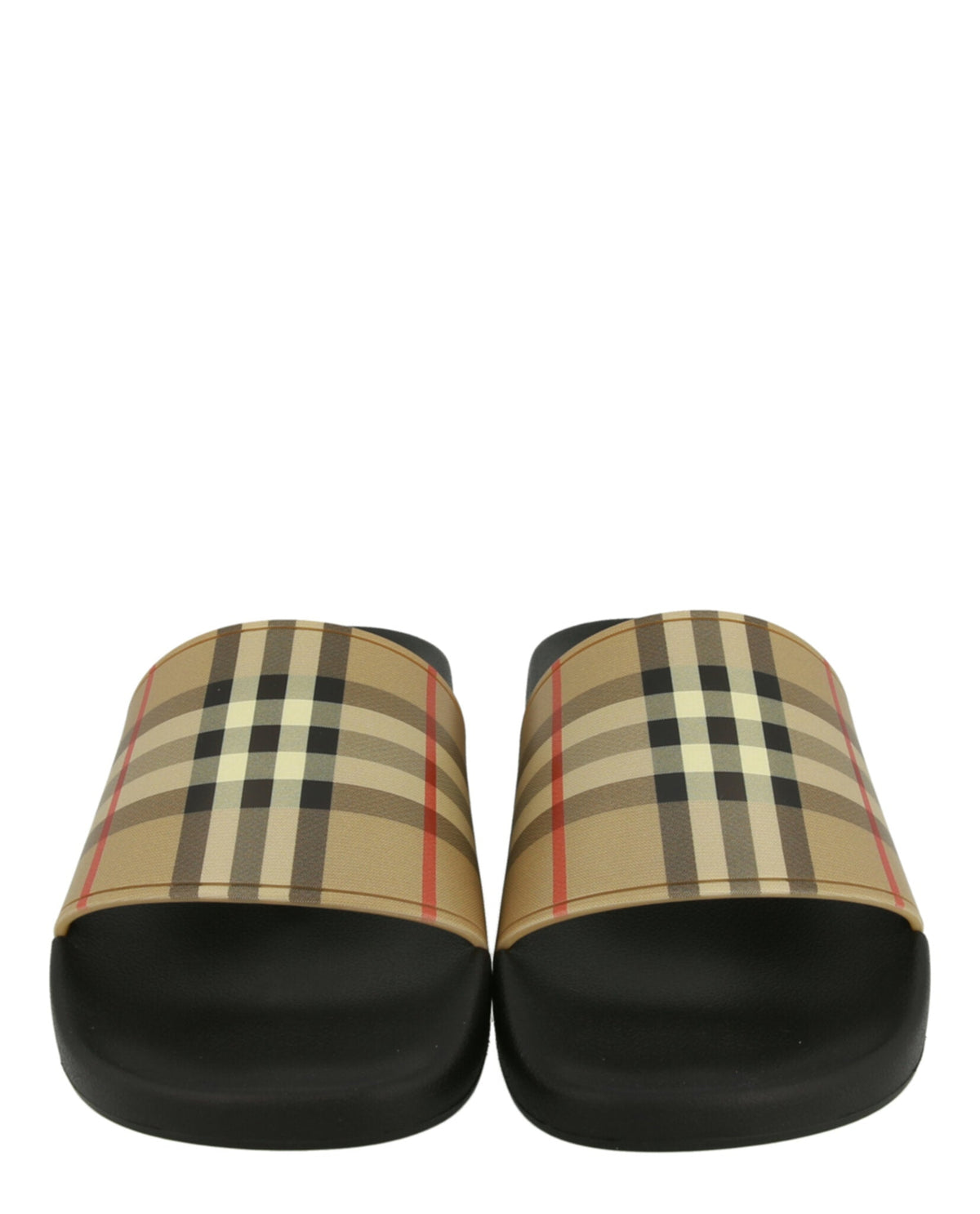 Check Print Slides