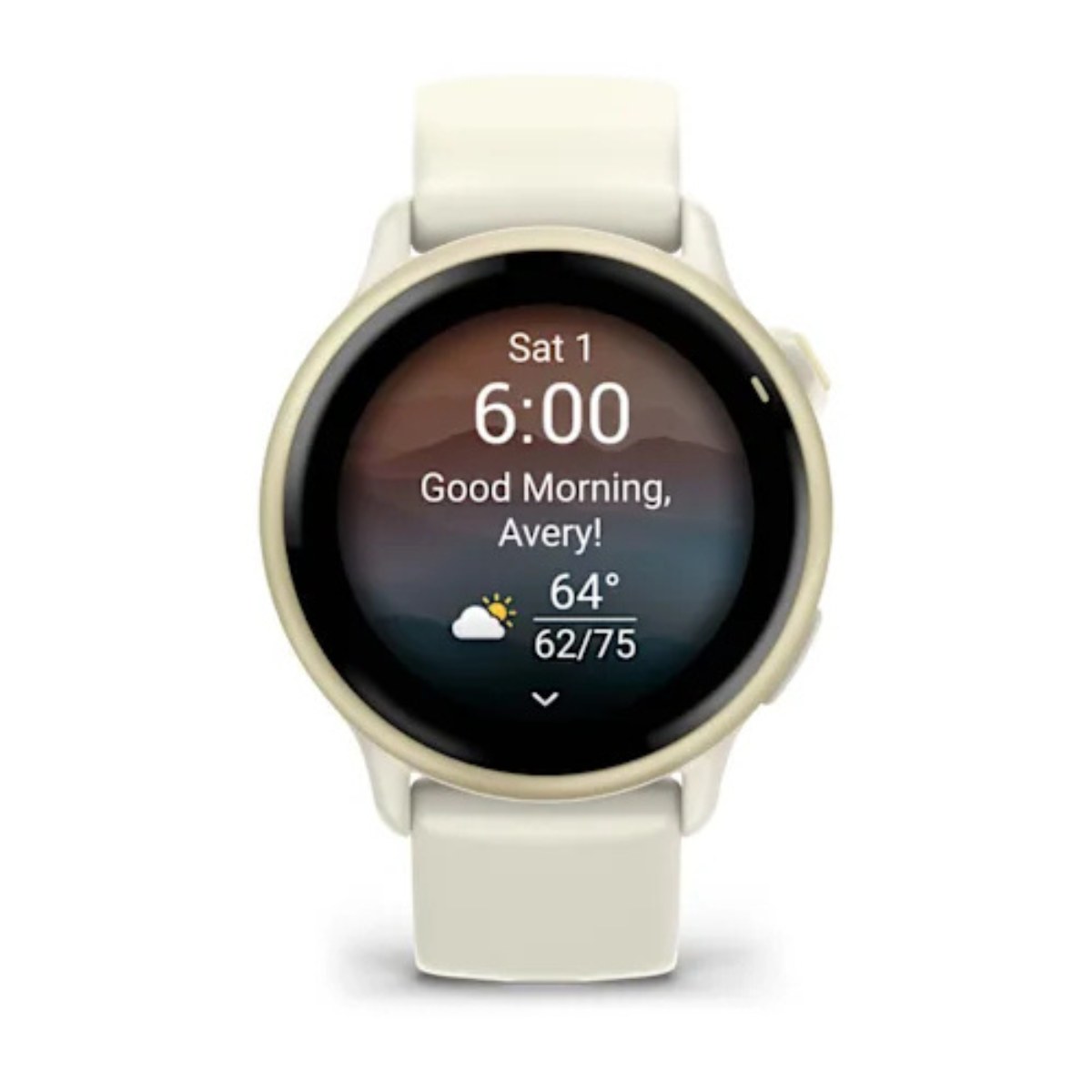 Garmin Vivoactive 6 GPS Smartwatch