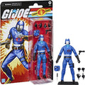 HASBRO COLLECTIBLES: GI JOE CLASSIFIED SERIES - RETRO CARDBACK COBRA COMMANDER ACTION FIGURE