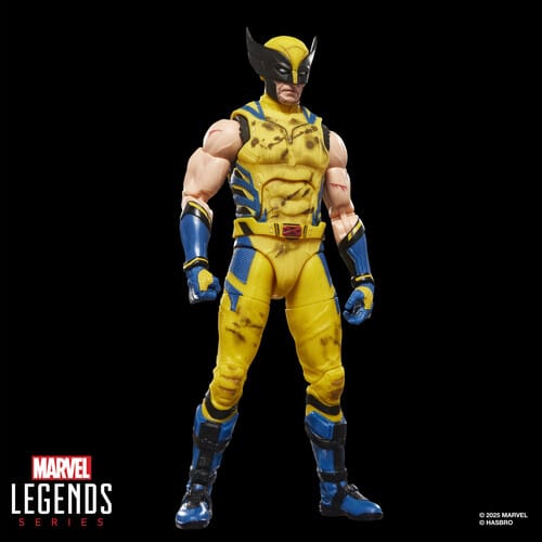 Hasbro: Marvel Legends - Wolverine Action Figure