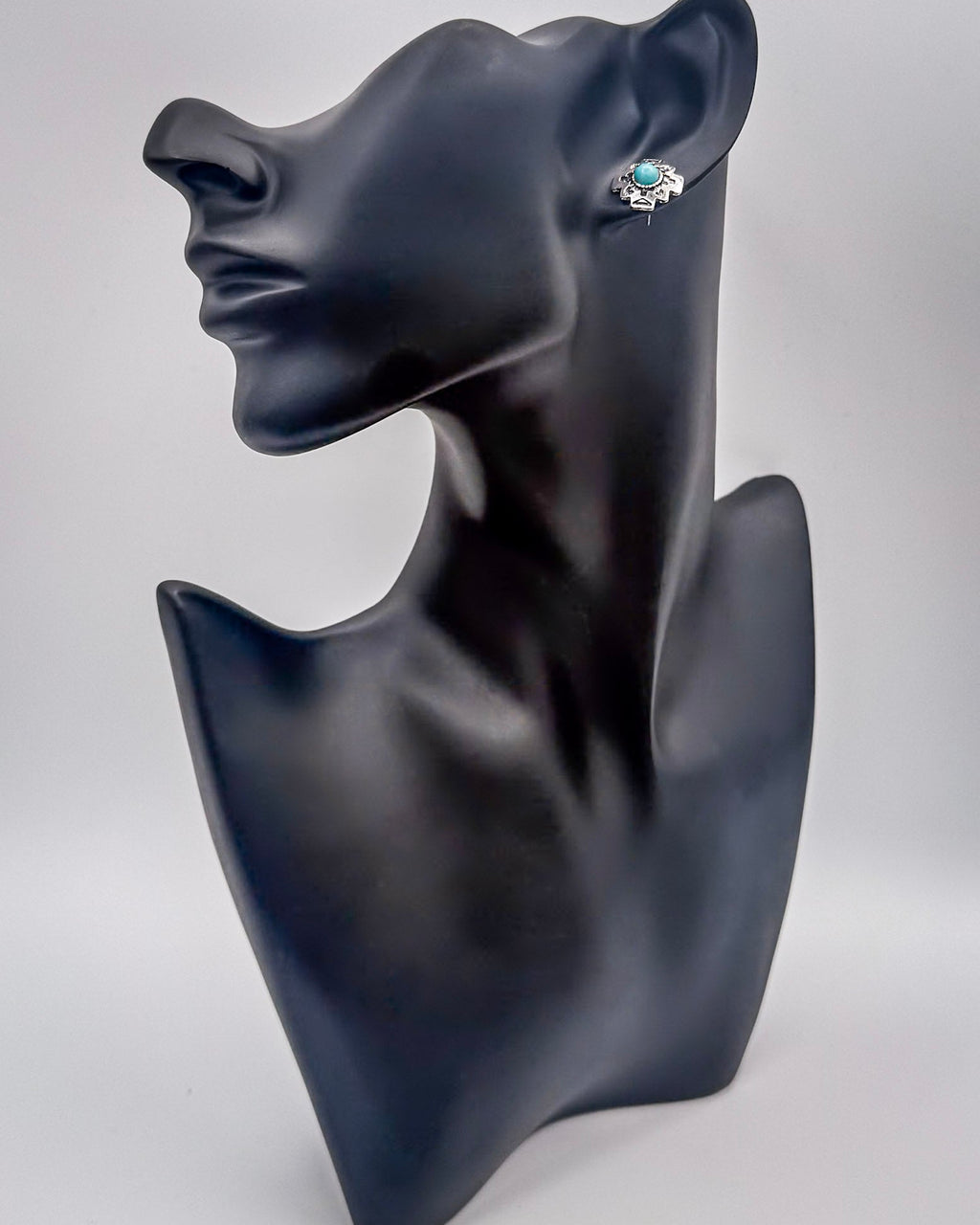 High Desert Dream Fashion Earring Set