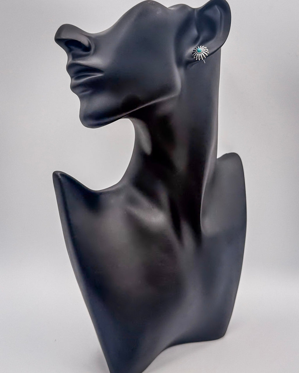 High Desert Dream Fashion Earring Set