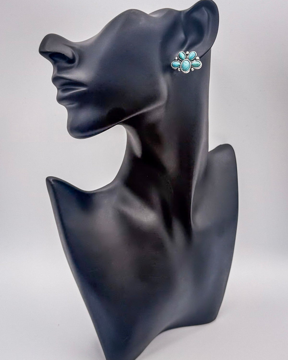 High Desert Dream Fashion Earring Set