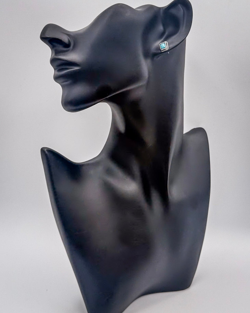 High Desert Dream Fashion Earring Set