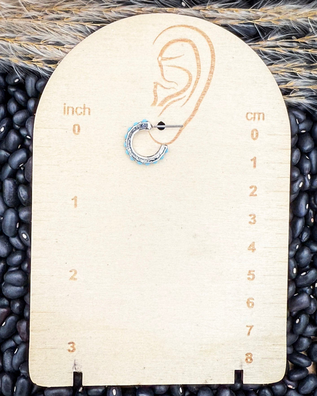 High Desert Dream Fashion Earring Set