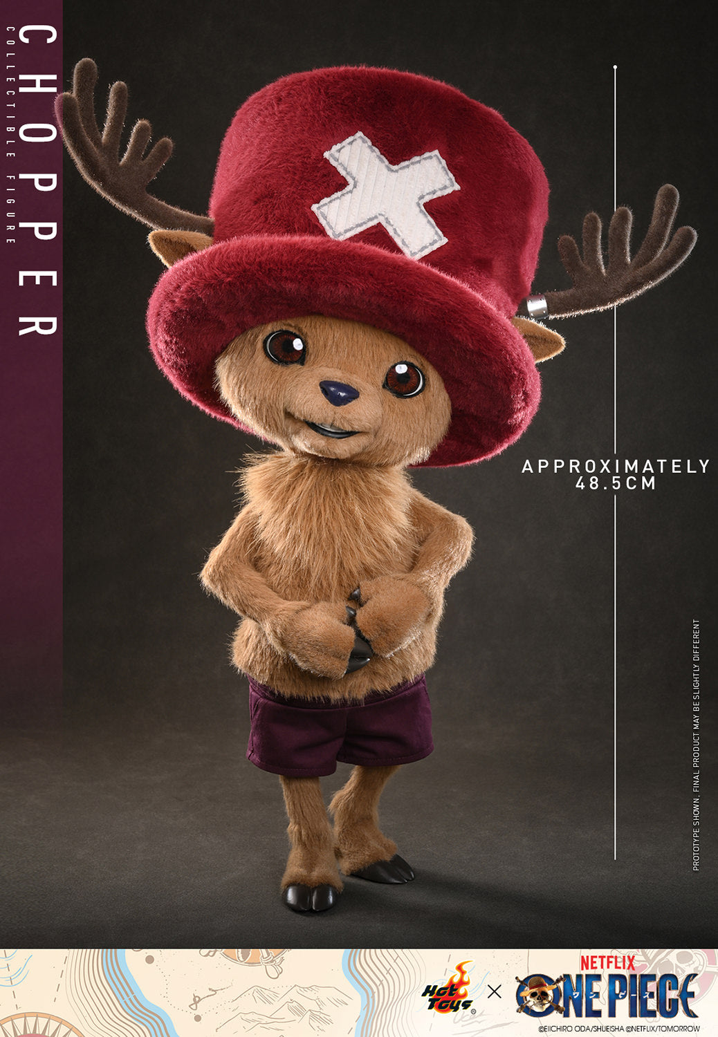 One Piece (2026 Netflix): Tony Tony Chopper