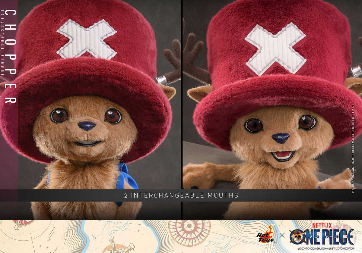 One Piece (2026 Netflix): Tony Tony Chopper