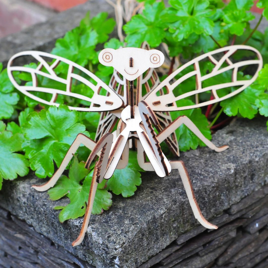 Wooden Build A Bug Kit