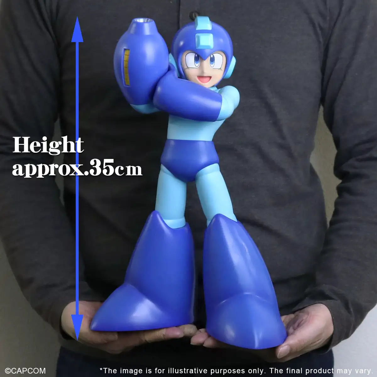 Mega Man: Rockman/Mega Man Gigantic Series