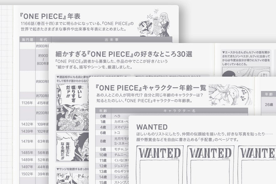 One Piece A6 - Original 2027 Daily Planner