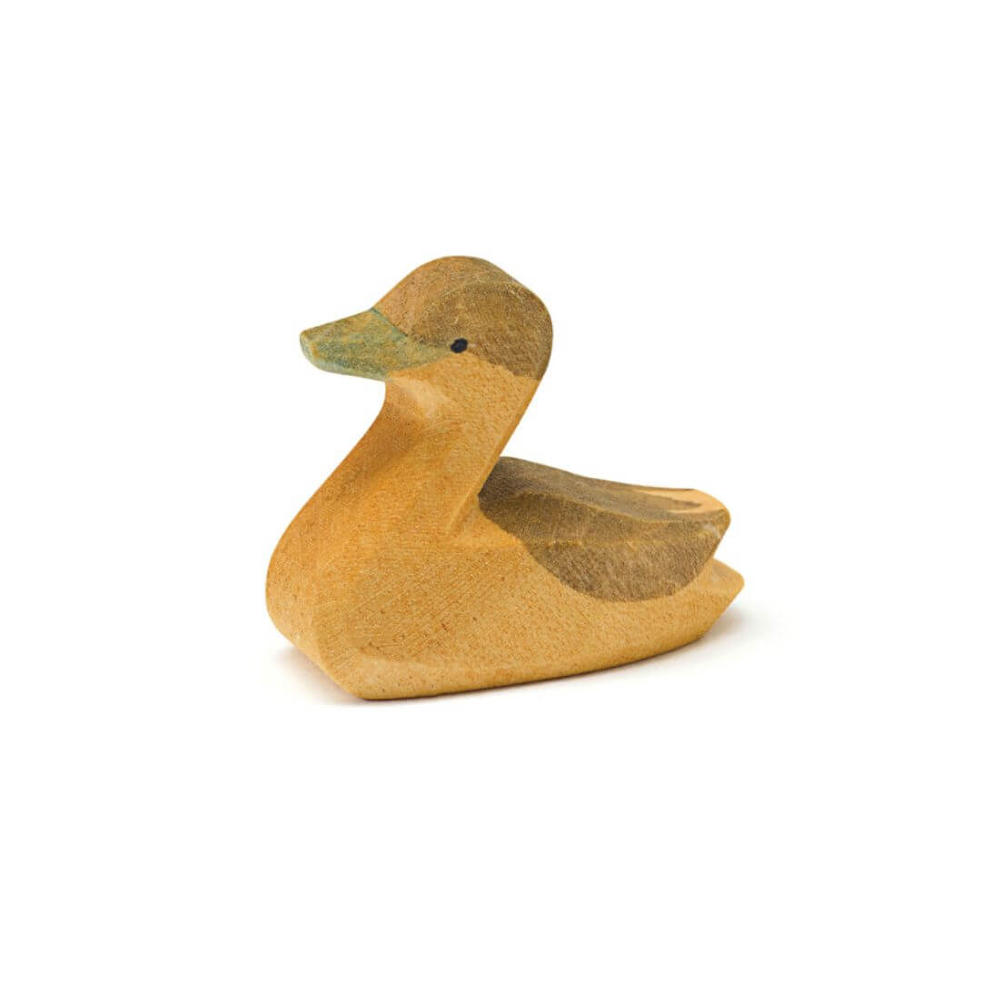 Ostheimer Canada Goose Gosling