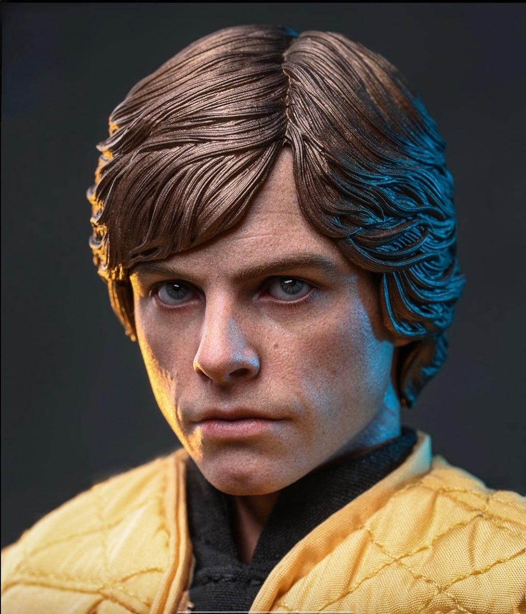 Preorder🔥Hot Toys CMS035 Star Wars - Luke Skywalker (Shadows Of The Empire) 1/6th scale Collectible Figure [Hot Toys Exclusive]