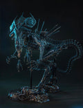 Preorder🔥Hot Toys MMS903 Aliens - 1/6th scale Alien Queen Collectible Figure