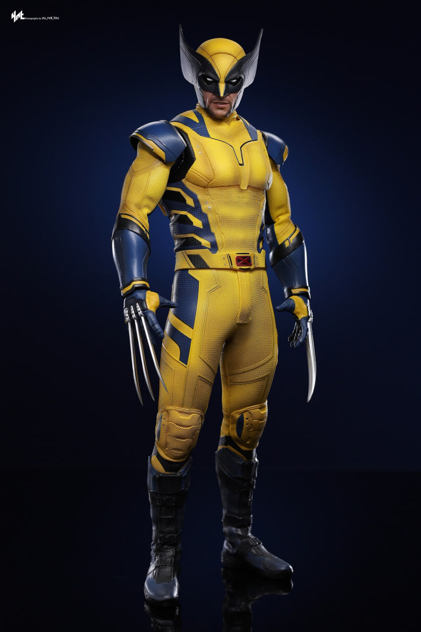 Ready🔥Hot Toys MMS753 Deadpool & Wolverine 1/6 Wolverine Collector Edition